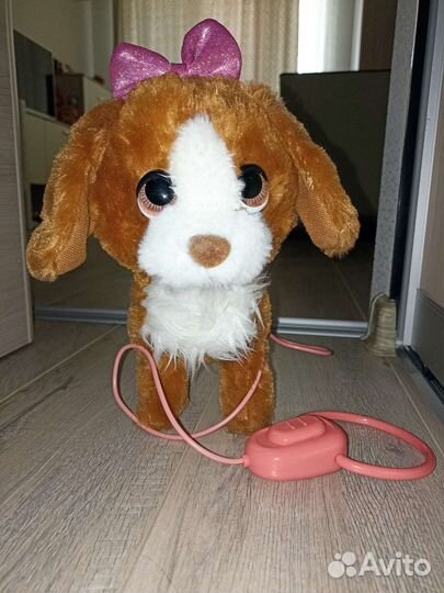 Интерактивная собака