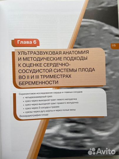 Хобби и отдых