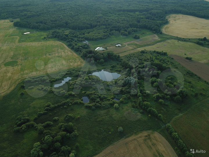 Участок 170 га (СНТ, ДНП)