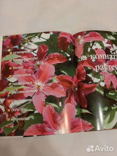 Книга о комнатных растениях