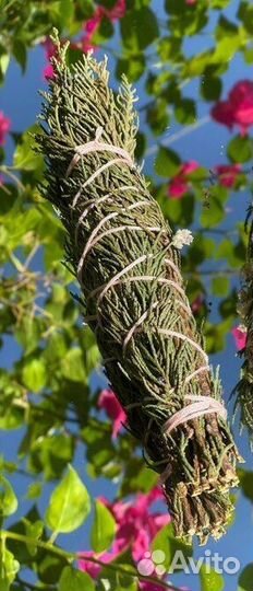 Можжевельник скрутка для окуривания