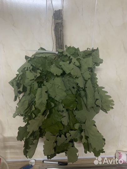 Веники дубовые