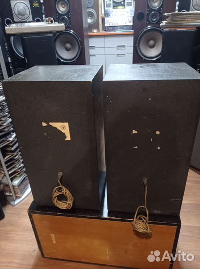 Колонки амфитон 25ас 027