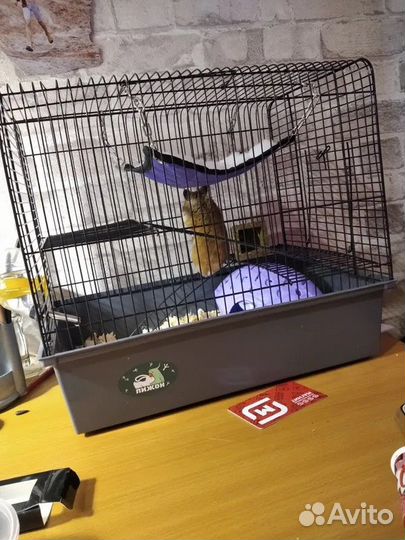 Клетка для грызунов.новая