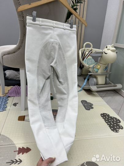 Конные бриджи и рубашка