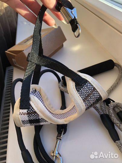 Шлейки для кошек и мелких пород собак