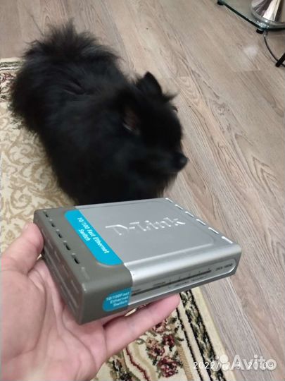 Свитч маршрутизатор