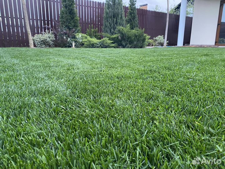 Озеленение. Автополив. Ландшафтный дизайн