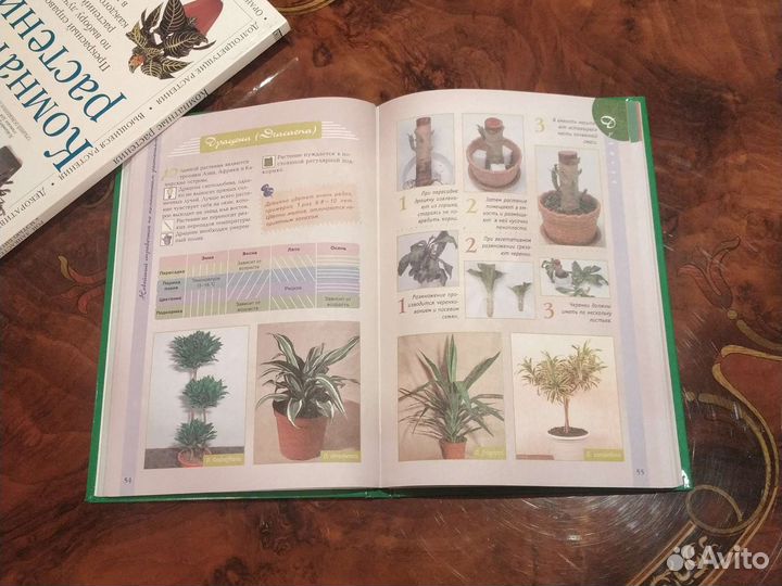 Ланкастер Комнатн.растения, Севостьянова Справ-к