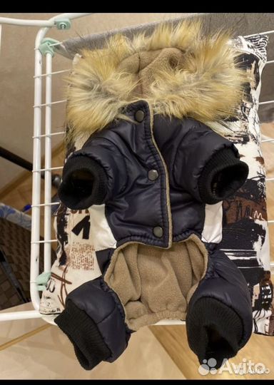 Одежда для собак