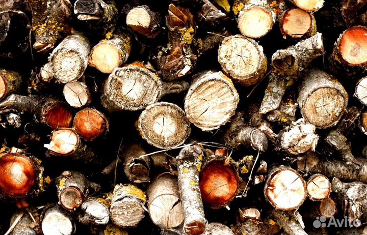 Дрова после сушки