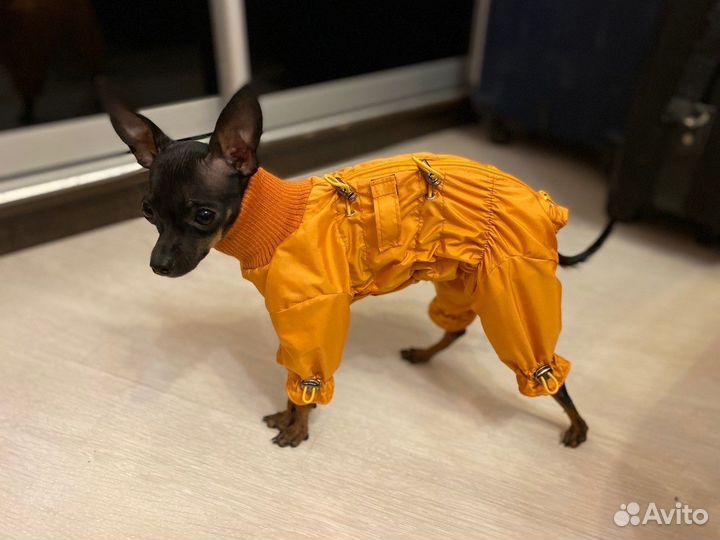 Одежда для собак мелких и средних пород McDog