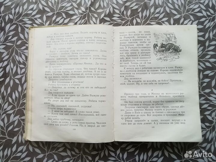 Г. Скребицкий Лесное эхо 1952