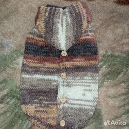 Одежда для маленьких собак