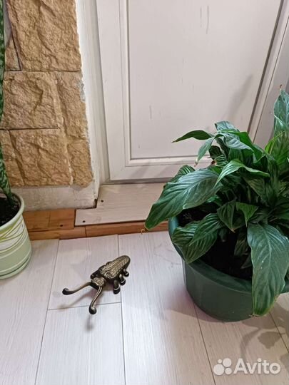 Жук- денщик для снятия обуви