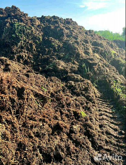 Навоз,перегной коровий конский