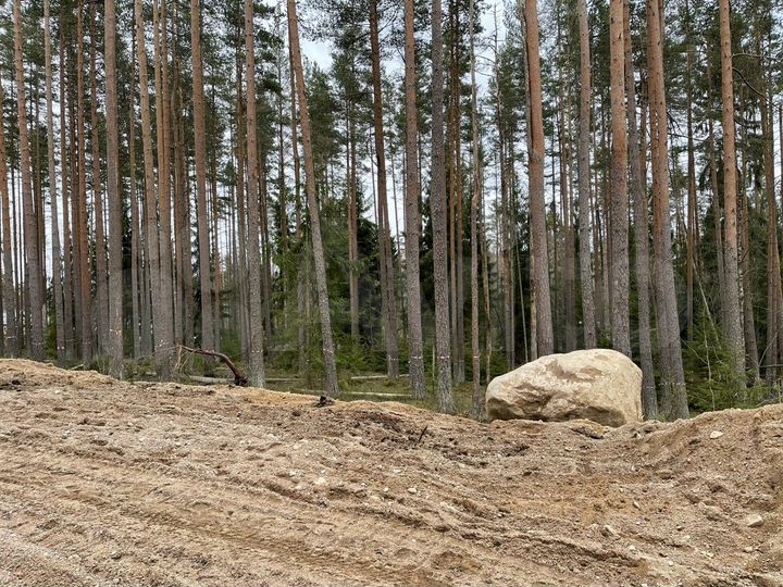 Участок 18,2 сот. (ИЖС)