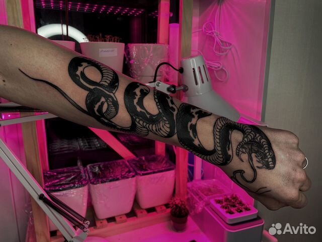 Обучение тату