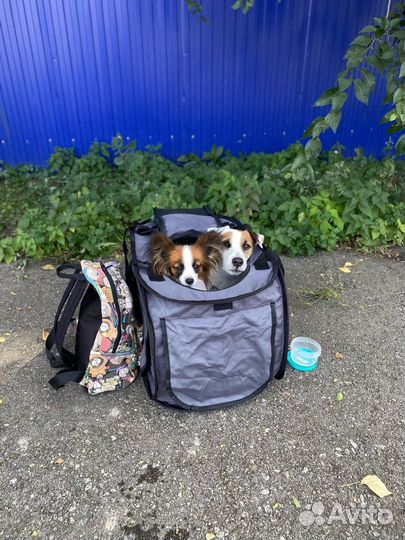 Тент складной для собак