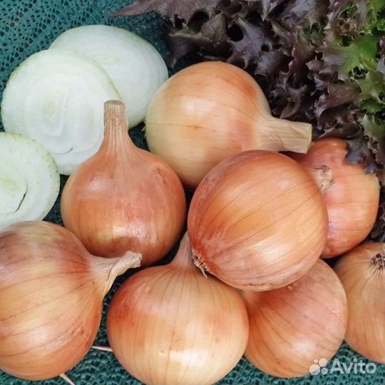 Лук разные сорта, семена