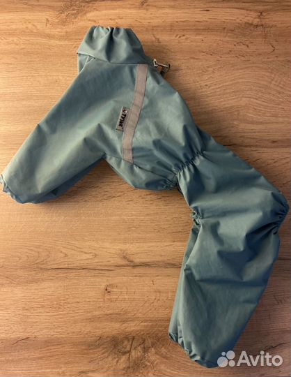 Дождевик из мембраны для кобеля той-пудель