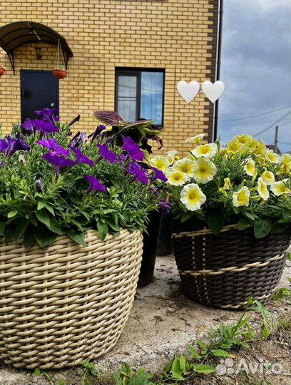 Кашпо цветочное из ротанга