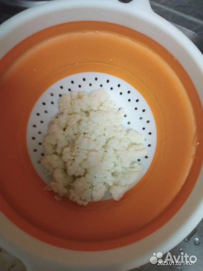 Кефирный гриб (тибетский )