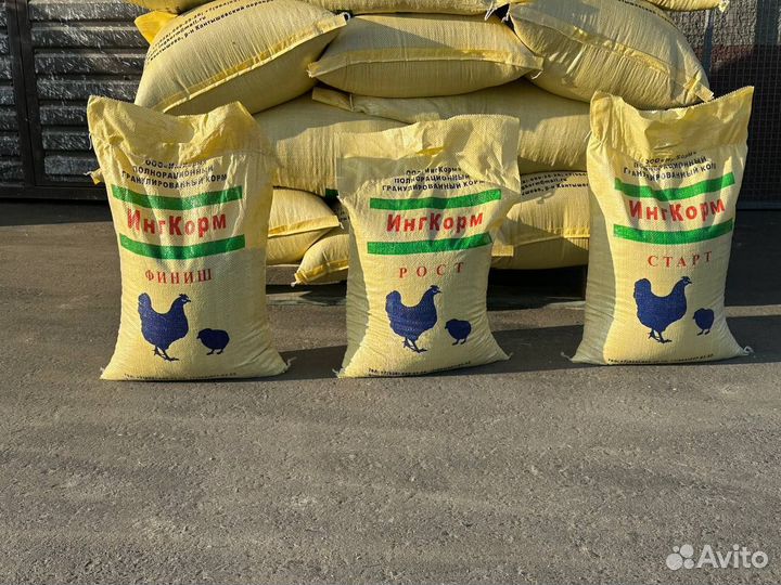 Комбикорм для кур