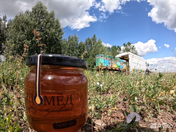 Мёд натуральный - своя пасека. Опт и розн, Иркутск