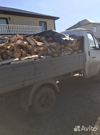 Дрова, березовые, колотые сухие, сырые