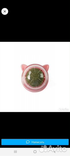 Кошачья мята