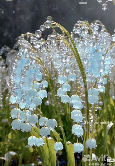 Картинки чередующиеся обои на телефон