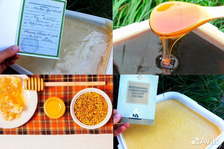 Мёд оптом от 1 кг - сам пчеловод. Москва