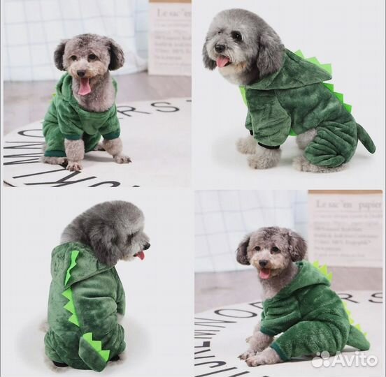 Костюм для кошек и собак