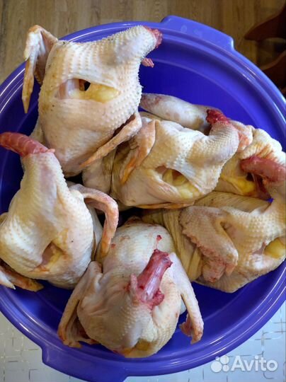 Тушки мясо деревенских кур 11 месячных