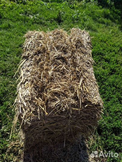 Солома ячменная в тюках