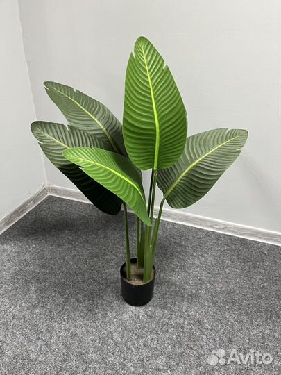 Искусственные растения (цветы)