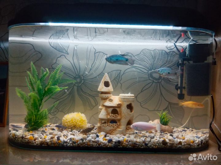 Продаётся аквариум