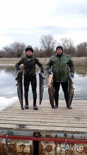 Рыбалка в Астрахани