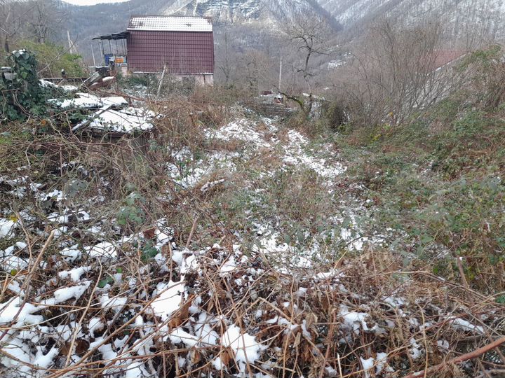 Участок 5,5 сот. (СНТ, ДНП)