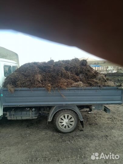 Продам навоз