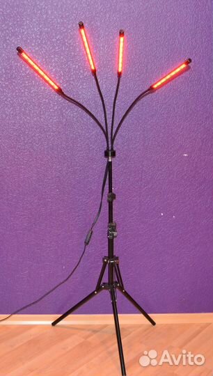 Фито лампа для растений