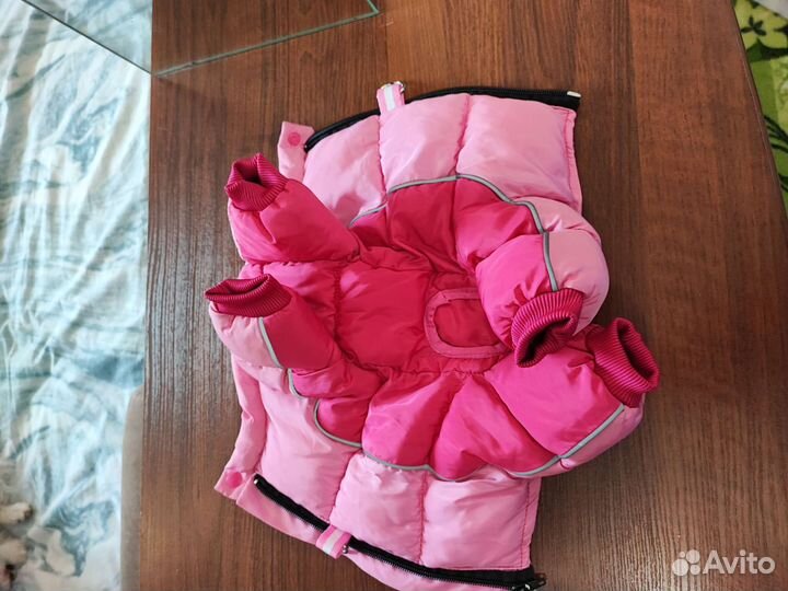 Одежда для собак мелких пород