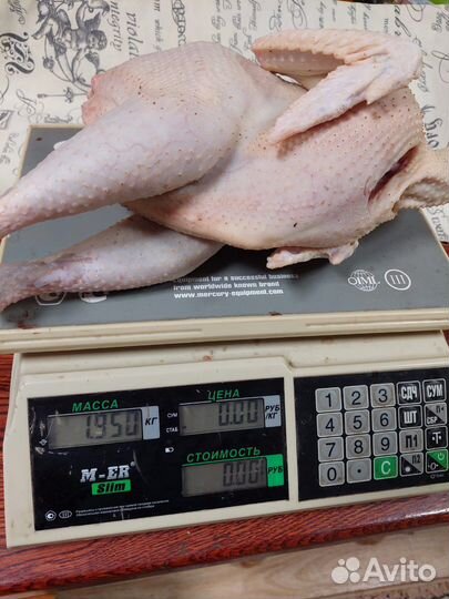Мясо домашней птицы
