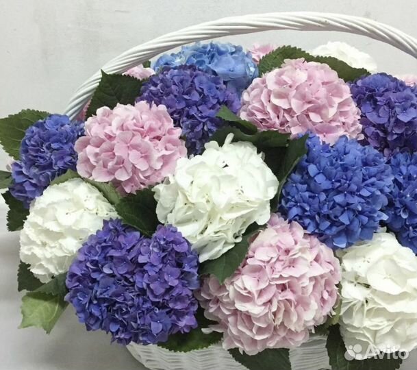 Свежие цветы и букеты из роз с доставкой