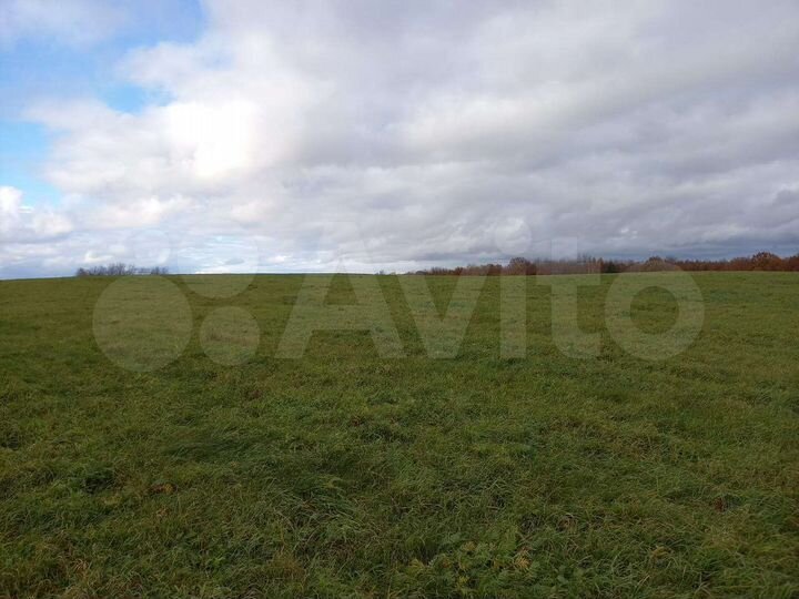 Участок 20 га (СНТ, ДНП)