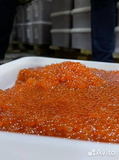 Красная икра оптом. Камчатка