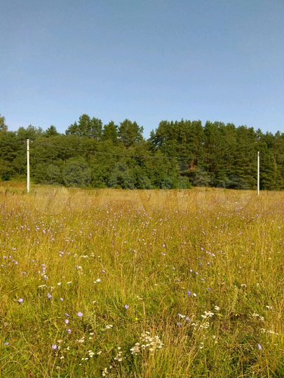 Участок 13,6 сот. (ИЖС)