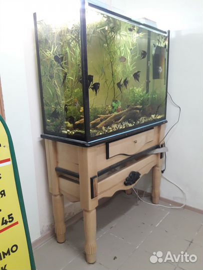 Аквариум