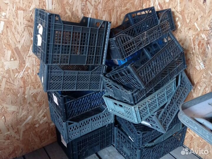 Пластиковые ящики для овощей бу